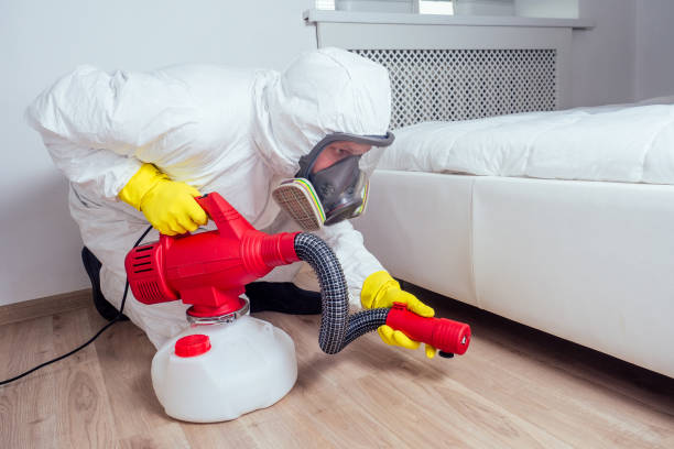 Best Emergency Pest Control  in Berkley, MI